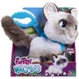 Furreal Friends - Chaton Grand Marcheur Interactif Jouet Animal 23 cm avec Laisse et Sons - Référence FURREAL FRIENDS