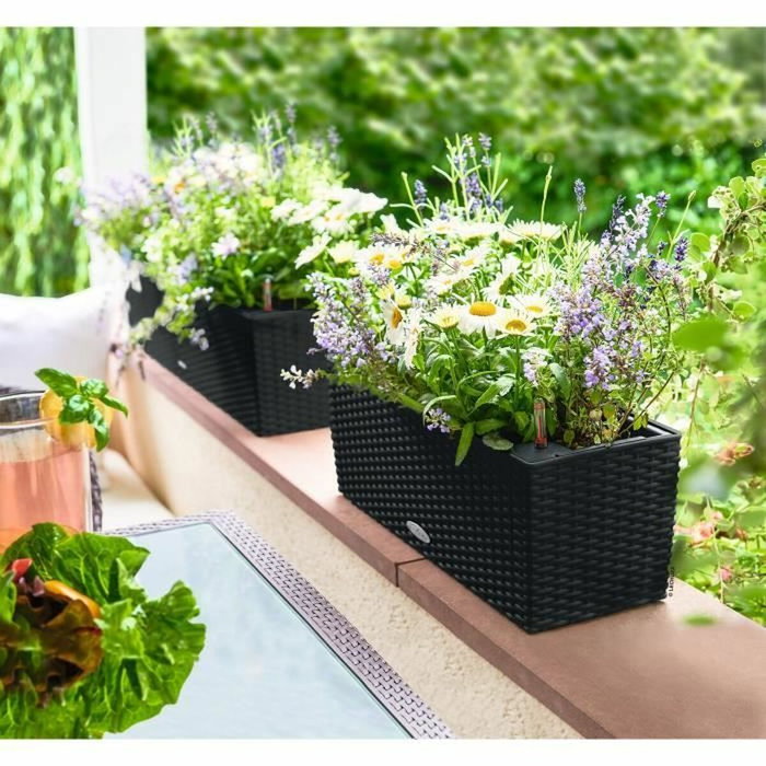 Lechuza Jardinière Balconera Cottage 50 - Noir graphite - 8 L