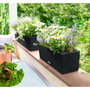 Lechuza Jardinière Balconera Cottage 50 - Noir graphite - 8 L