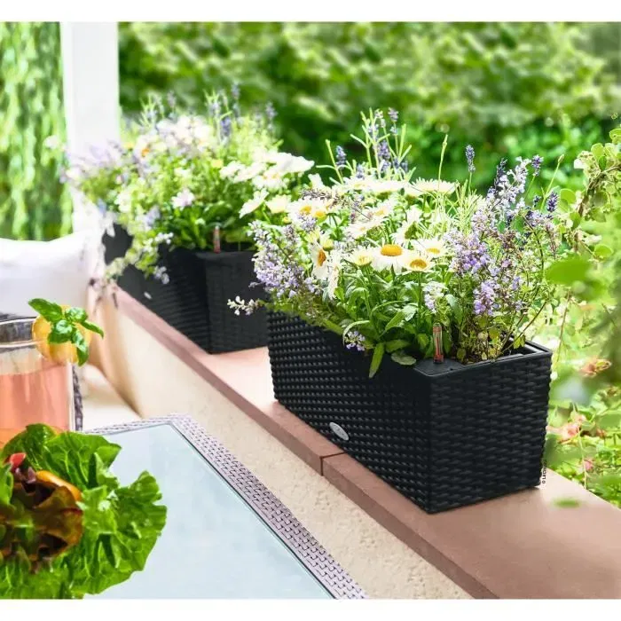 Lechuza Balconera Cottage 50 - Jardinière suspendue ou posée 50 x 19 x 19 cm - 8 L - Noir graphite - Kit complet avec bac d'arrosage