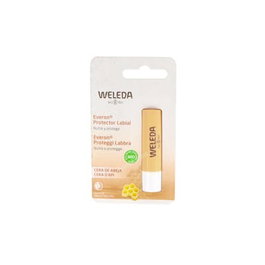 Weleda Everon Baume à Lèvres 4g Protection Hydratation Jojoba Karité