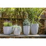 Capi Europe Pot de fleurs GROOVE NL Ivoire 43x41 cm