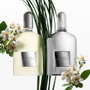 Tom Ford Grey Vetiver Parfum pour Hommes 100 ml