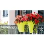 Artevasi Jardinière pour Balcon Capri - Gris Anthracite - 30 x 60 x H 30 cm - 26,8 Litres - Design Élégant