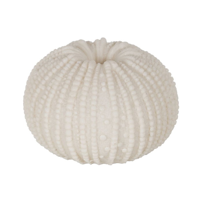 Lampe de bureau Blanc Lampe de bureau Blanc