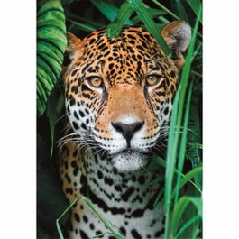Clementoni Puzzle 500 pièces + poster : Jaguar dans la jungle