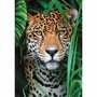 Clementoni Puzzle 500 pièces + poster : Jaguar dans la jungle