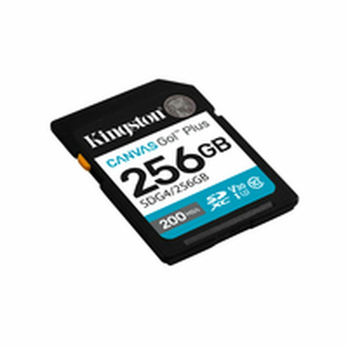 Carte Mémoire Micro SD avec Adaptateur Kingston SDG4/256GB 256 GB