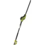 Ryobi Taille-haies sur perche électrique 450 W RPT4545E - Lame double action 45 cm, écartement 20 mm, tube d'extension 65 cm, tête articulée à 135°