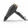 BaByliss Air Pro 2200 6719DE gris