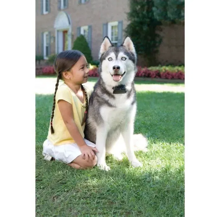 PetSafe - Système de Clôture Anti-Fugue pour Chien avec 150 mètres de fil - 5 Niveaux Réglables de Stimulation Statique et Tonalité + Vibration