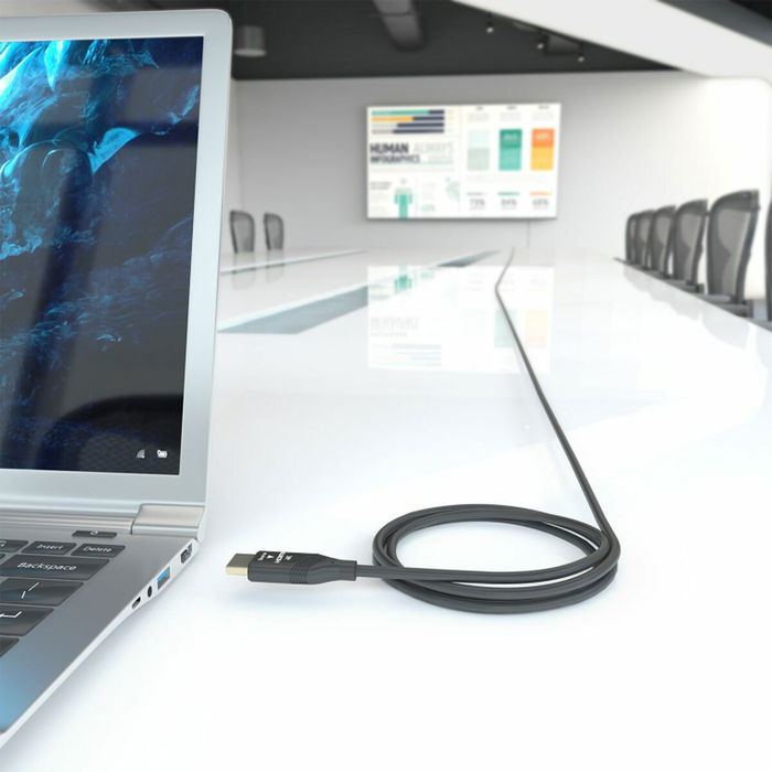 Câble HDMI Aisens A148-0932 Noir 30 m