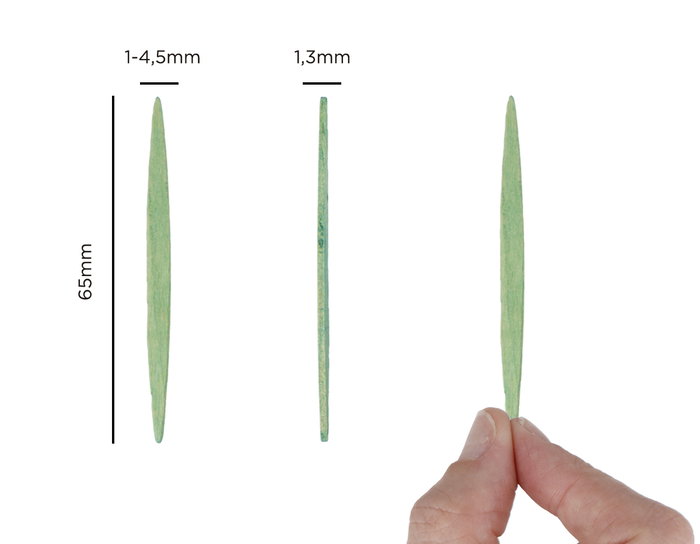 Innspiro Bâtonnets plats en bois verts 65mm, 250 unités