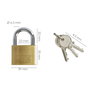 WOLFPACK LINEA PROFESIONAL Cadenas en laiton 40 mm clés identiques n°1