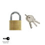 WOLFPACK LINEA PROFESIONAL Cadenas en laiton 40 mm clés identiques n°1