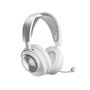 SteelSeries 61526 Casque Gaming Arctis Nova Pro PS Edition pour PlayStation, Blanc