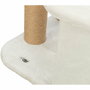 Grattoir pour Chats Trixie Active 150 cm