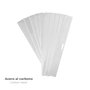 WOLFPACK LINEA PROFESIONAL Lot de 10 lames de rechange pour grattoir 10 cm
