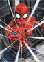 Educa Puzzle 500 pièces Spider-Man - Jeu de patience en espagnol/anglais - Pour adultes et enfants dès 11 ans