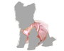 Costume pour Chien Danseuse de Ballet, Taille S, Thème Personnage de Conte, Rose - Deguisement Mascotte