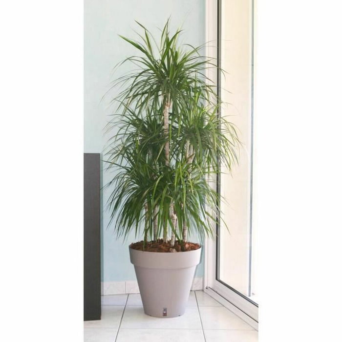 Riviera Pot de fleurs Loft Rond Taupe avec réserve d'eau