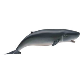 COLLECTA Cachalot Pygmée - Échelle M