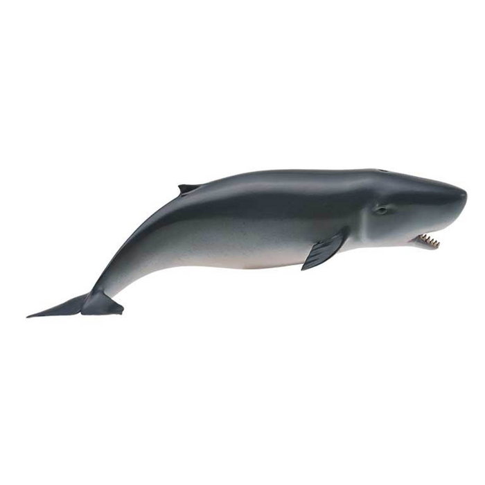COLLECTA Figurine Cachalote Pygmée - Modèle M 88653 - Animal Marin Réplique Réaliste à l'Échelle Peinture Main - Détail et Qualité - +3 Ans COLLECTA Figurine Cachalote Pygmée - Modèle M 88653 - Animal Marin Réplique Réaliste à l'Échelle Peinture Main - Détail et Qualité - +3 Ans