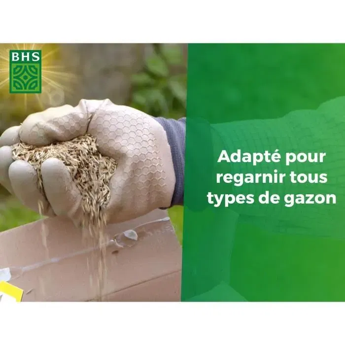 BHS Gazon de Regarnissage 1 kg - Semences pour Réparer les Zones Dénudées du Gazon, Utilisation Printemps/Automne