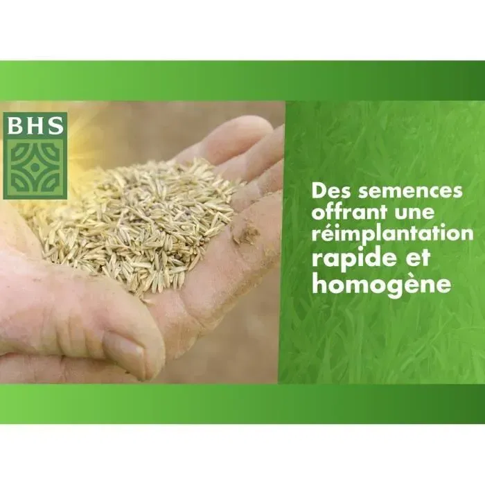 BHS Gazon de Regarnissage 1 kg - Semences pour Réparer les Zones Dénudées du Gazon, Utilisation Printemps/Automne