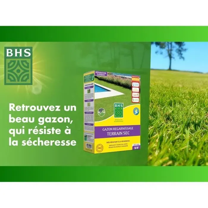 BHS Gazon de Regarnissage 1 kg - Semences pour Réparer les Zones Dénudées du Gazon, Utilisation Printemps/Automne