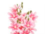 Ibergarden Branche Fleurie 5 Rameaux 20 Fleurs Rose 55cm (Set de 12)