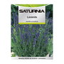 SATURNIA Semences Aromatiques Lavande (0.5 g)
