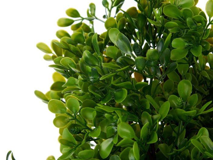 IBERGARDEN Lot de 3 grands pots en plastique noir et vert pour plantes vertes