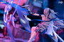 Honkai Impact 3rd statuette PVC 1/7 Bronya Zaychik Silverwing: N-EX 35 cm