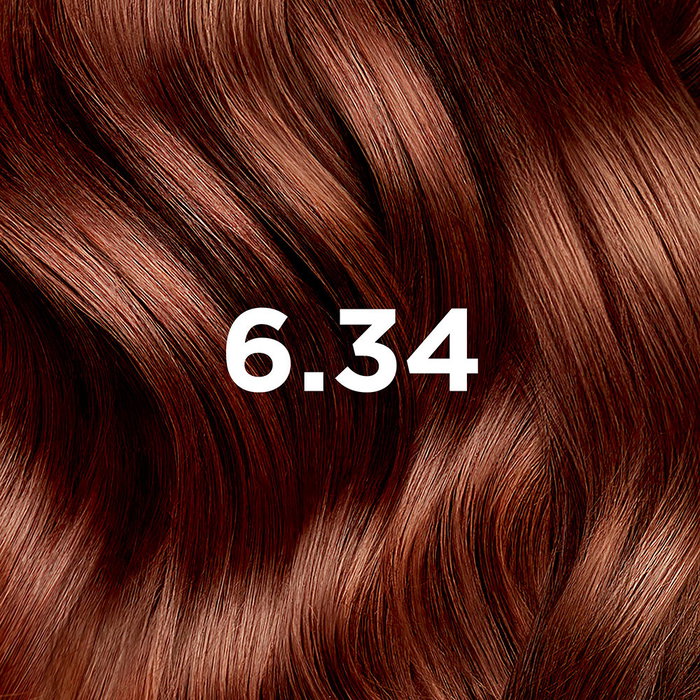 Phyto COLOR #6.34 Blond Cuivré Foncé 4 unités
