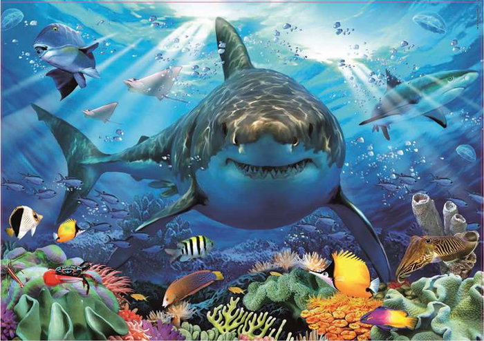 Educa - Puzzle 500 pièces - Grand requin blanc - Jeu adulte et enfant (à partir de 11 ans) - Langues : espagnol, anglais