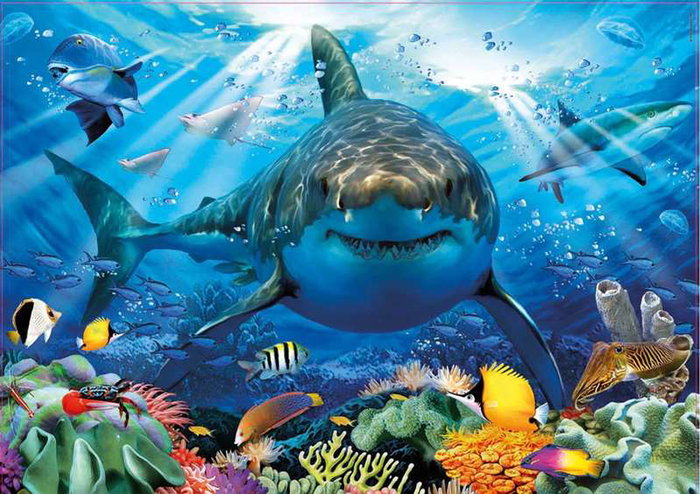 Educa - Puzzle 500 pièces - Grand requin blanc - Jeu adulte et enfant (à partir de 11 ans) - Langues : espagnol, anglais
