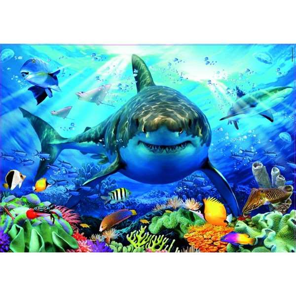 Educa - Puzzle 500 pièces - Grand requin blanc - Jeu adulte et enfant (à partir de 11 ans) - Langues : espagnol, anglais