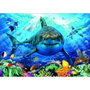 Educa - Puzzle 500 pièces - Grand requin blanc - Jeu adulte et enfant (à partir de 11 ans) - Langues : espagnol, anglais