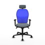 Piqueras y Crespo Chaise de Bureau Ergonomique avec Appui-tête 1D036N2 Gris et Bleu