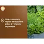 Or Brun Terreau Potager et Aromatiques OBRTARO6U 6 Litres - Croissance Rapide pour Tomates, Salades, Basilic - Rétention d'Eau avec Tourbe et Fibre de Coco