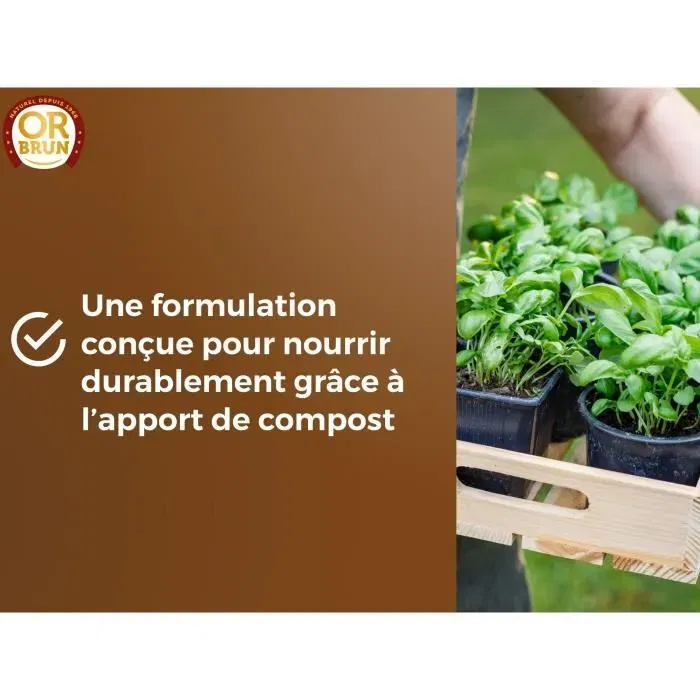 Or Brun Terreau Potager et Aromatiques OBRTARO6U 6 Litres - Croissance Rapide pour Tomates, Salades, Basilic - Rétention d'Eau avec Tourbe et Fibre de Coco