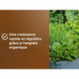 Or Brun Terreau potager & Plantes aromatiques - 6L
