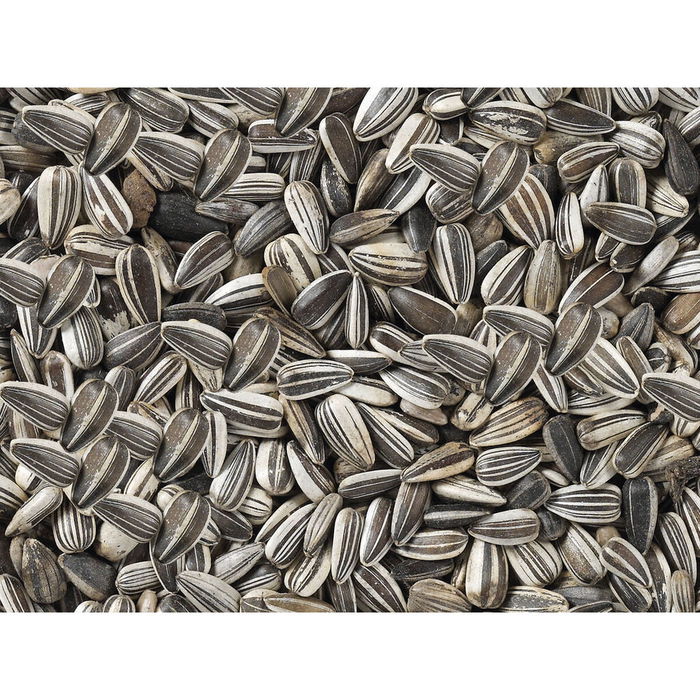 Nourriture pour oiseaux Deli Nature Premium 2,5 kg