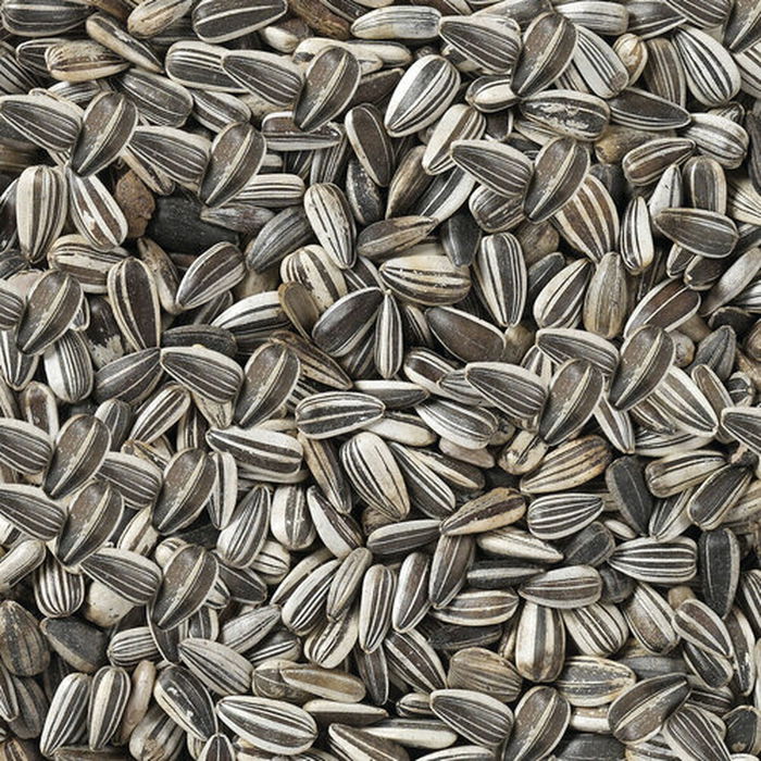 Nourriture pour oiseaux Deli Nature Premium 2,5 kg