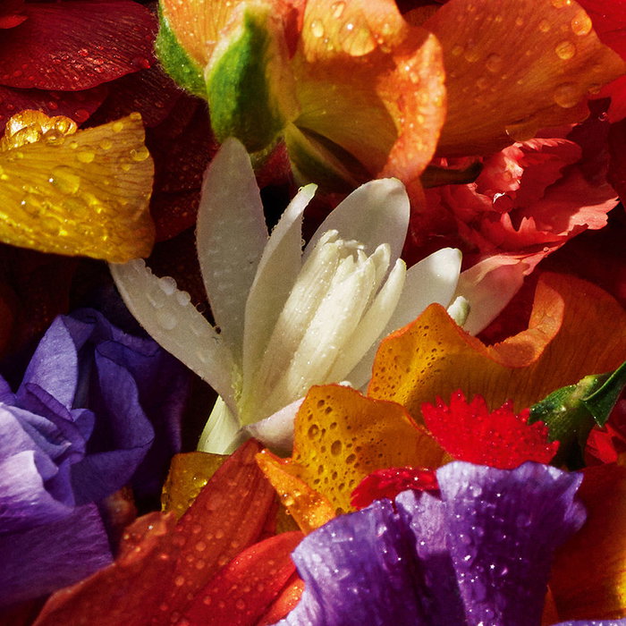 Guerlain AQUA ALLEGORIA FLORA BLOOM FORTE Recharge Eau de Parfum Femme 200 ml