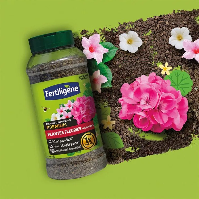 Fertiligene Engrais longue durée premium plantes fleuries géraniums 600 g