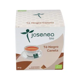 JOSENEA Thé noir-Cannelle 10 pyramides BIO