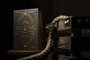 Theory 11 jeu de cartes à jouer NoMad