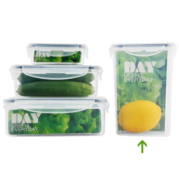 Day Lot de 4 boîtes hermétiques rectangulaires de 1,3 L